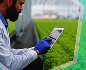 Post-Graduate Certificate in Agriculture Policy